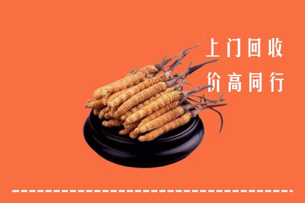舟山回收散虫草