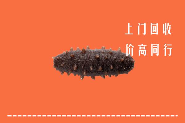 舟山高价回收海参